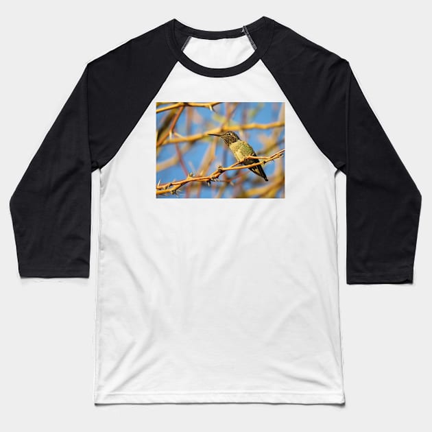 Afternoon hummingbird Baseball T-Shirt by SDym Photography